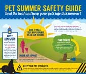NAPPS-Summer-Safety-Tips-small