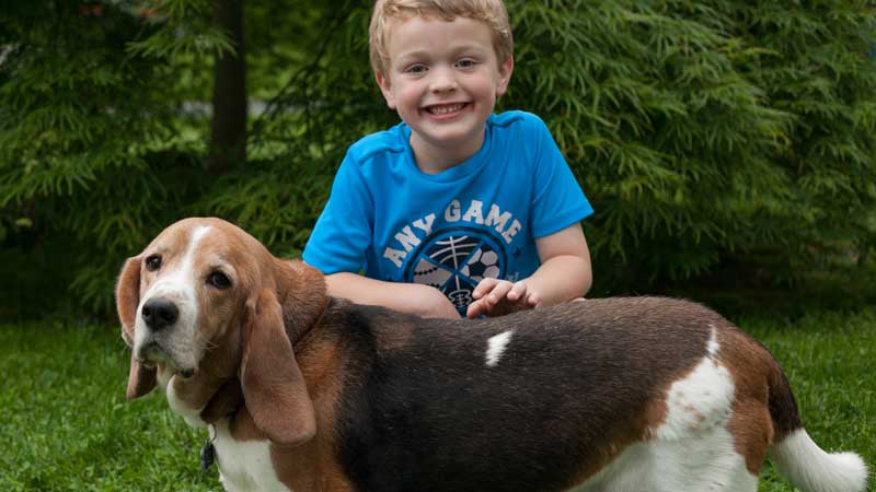 child with dachshund