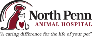North Penn Animal Hospital partners with Wiggles n Wags Pet Services