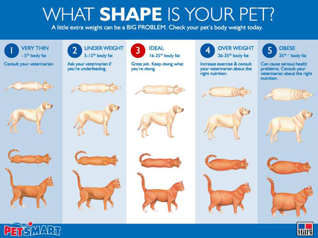 petsmart-weight-chart - Wiggles n Wags Pet Services, LLC