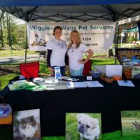 Wiggles n Wags Pet Services 2